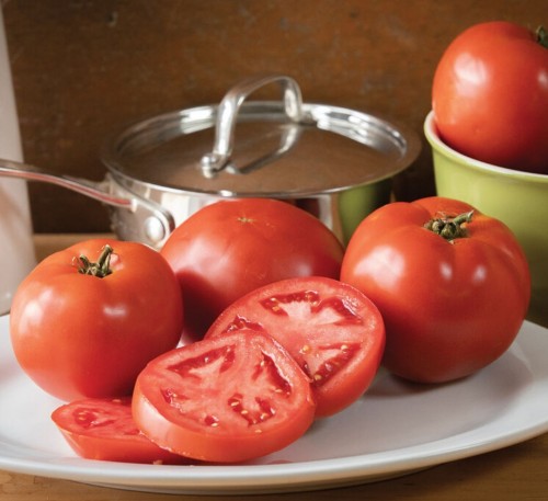 Tomato Atlantis